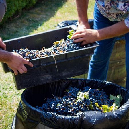 Todoroff Wine Residence Brestovica  Dış mekan fotoğraf